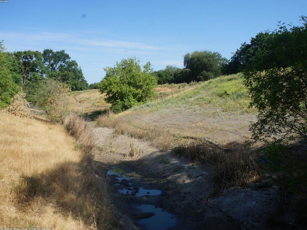 ដំណោះស្រាយបន្ថែមសម្រាប់ការកែលម្អគុណភាពធ sản