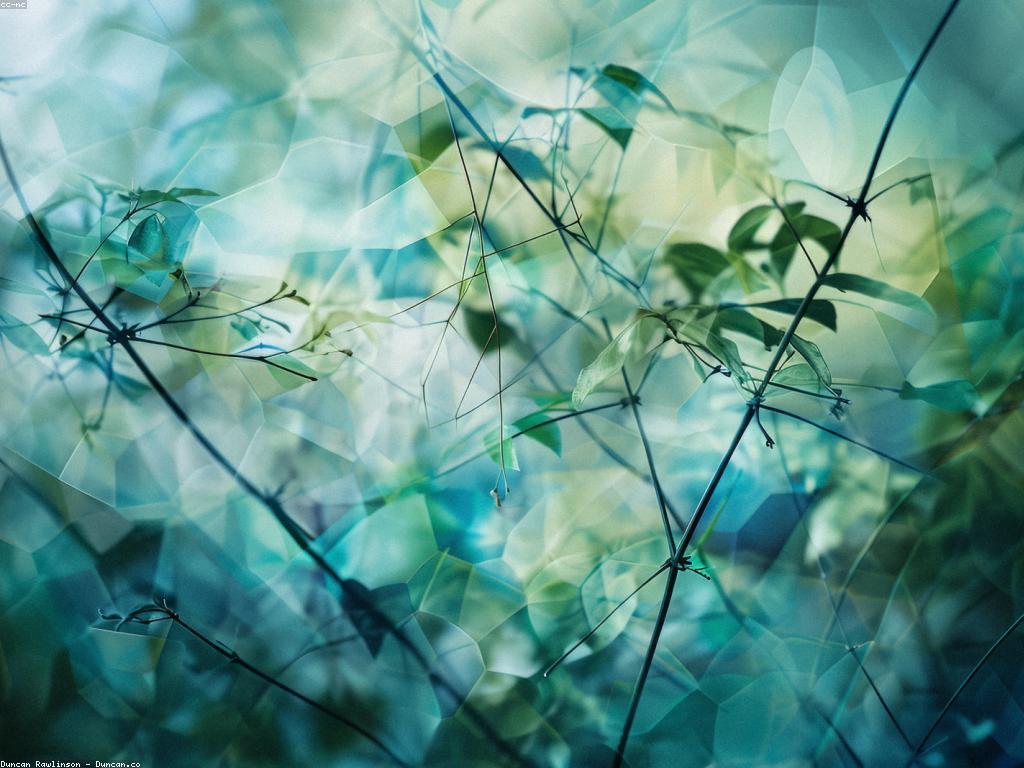 សារៈសំខាន់នៃការយោគយល់ផ្ទាល់សម្រាប់ព័ត៌មាន