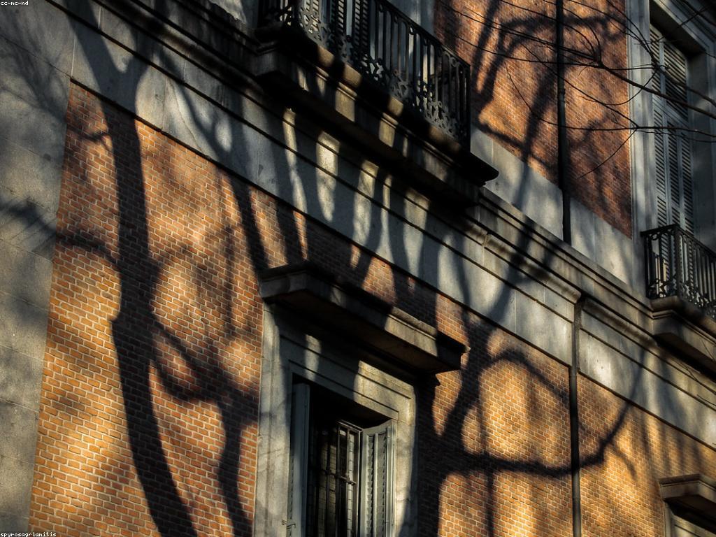 ការពិចារណា និង ព័ត៌មាន: ផ្លូវមួយទៅកាន់ការយល់ដឹងល្អប្រសើរ