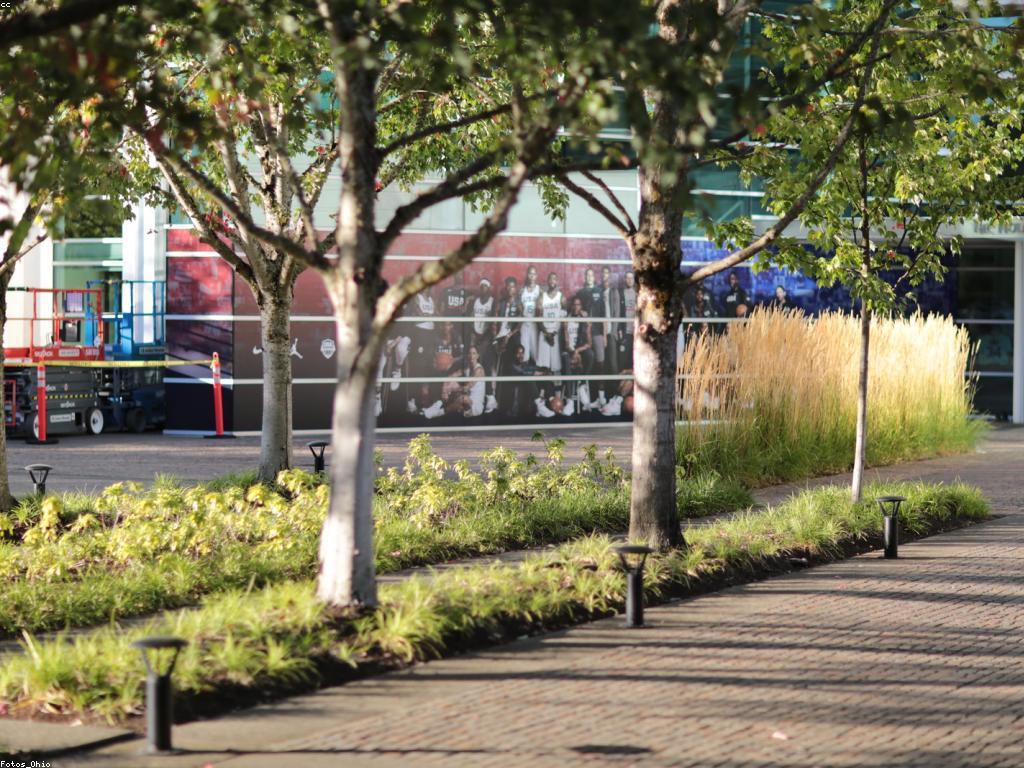 ដំណោះស្រាយបន្ថែម: គន្លឹះសំខាន់សម្រាប់ការផ្សព្វផ្សាយដើម្បីជោគជ័យ