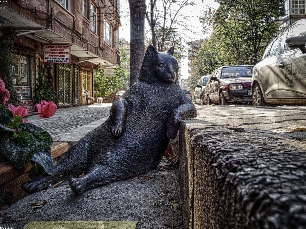 វិធីសាស្ត្រប្រៀបធៀបបែបបទសំរាប់ការយល់ដឹងល្អប្រសើរ